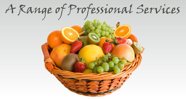 A range of Professional Services